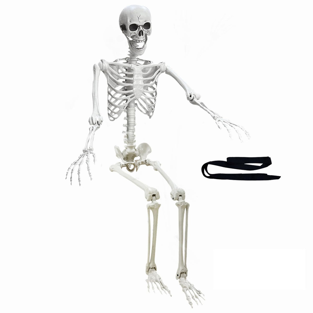 5.4Ft Poseable Life Size Human Skeleton with Rope W1429