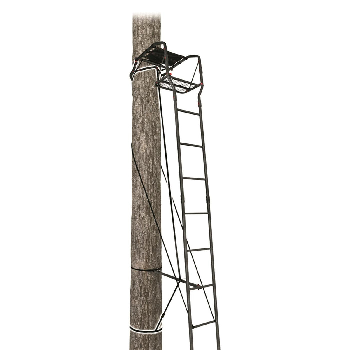 15’ Single Person Ladder Tree Stand M2722