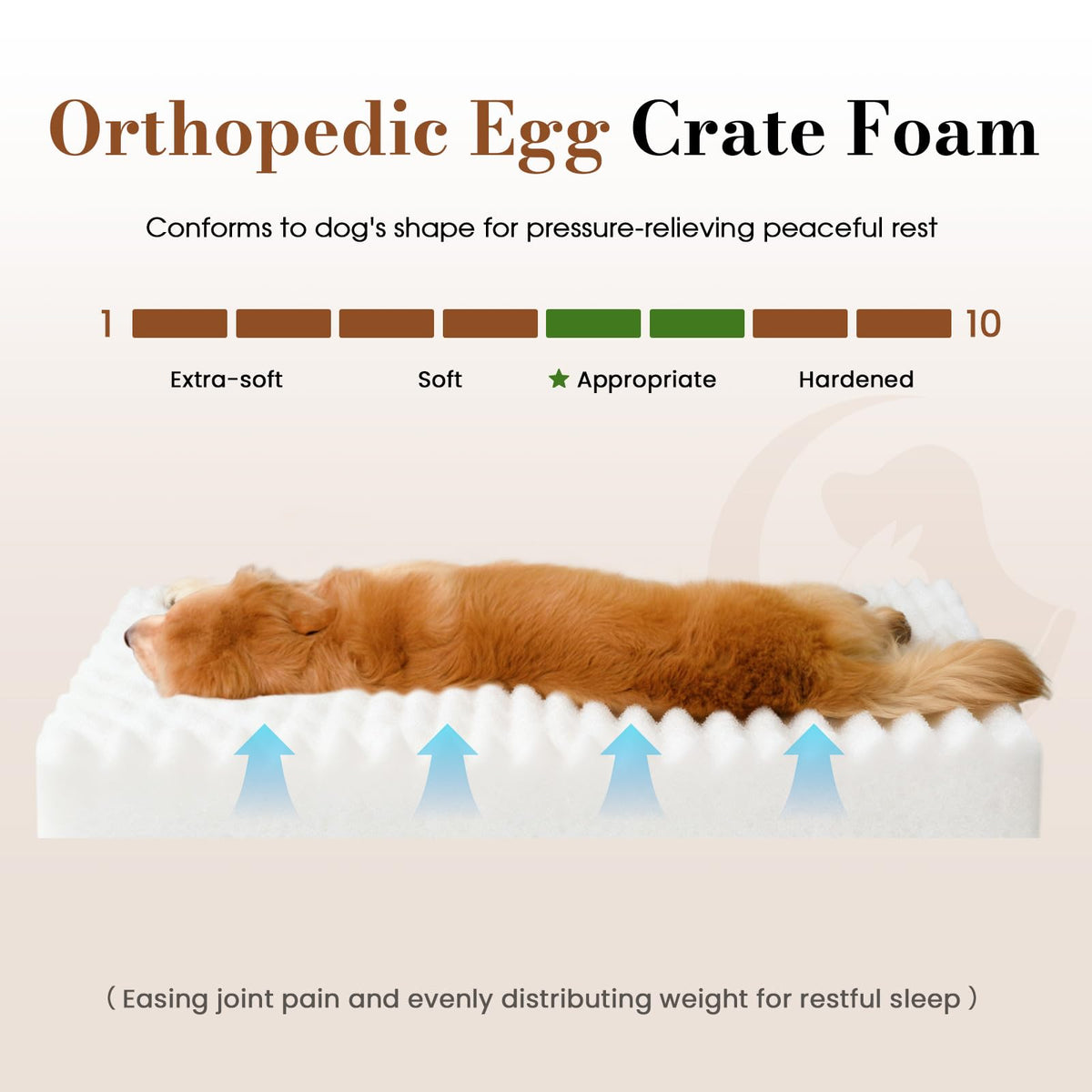 Orthopedic Foam Dog Bed with Waterproof Lining X623