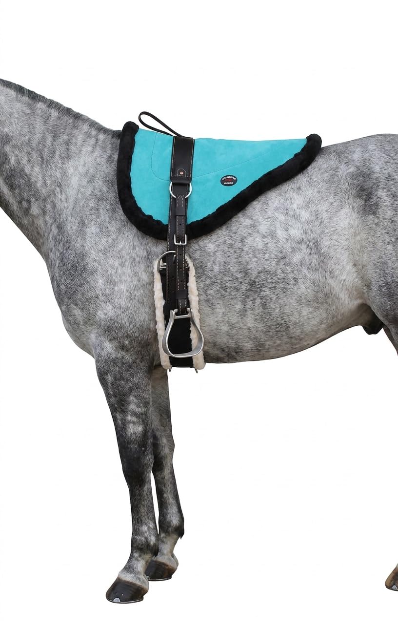 Turquoise Suede Leather Western Saddle Pad with Stirrups N309569