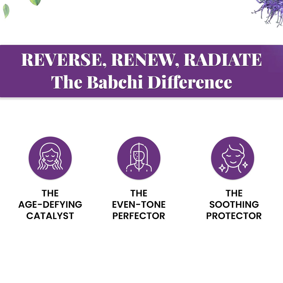 Babchi Oil with Glass Dropper 30ml Q6463