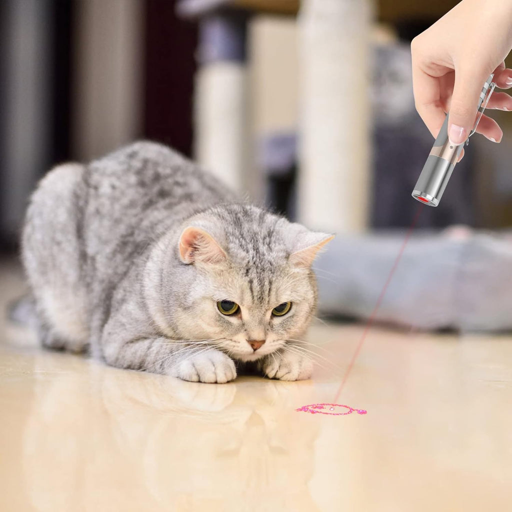 Cat Toys, 2 Pieces, Rechargeable, 7 Adjustable Patterns N53588