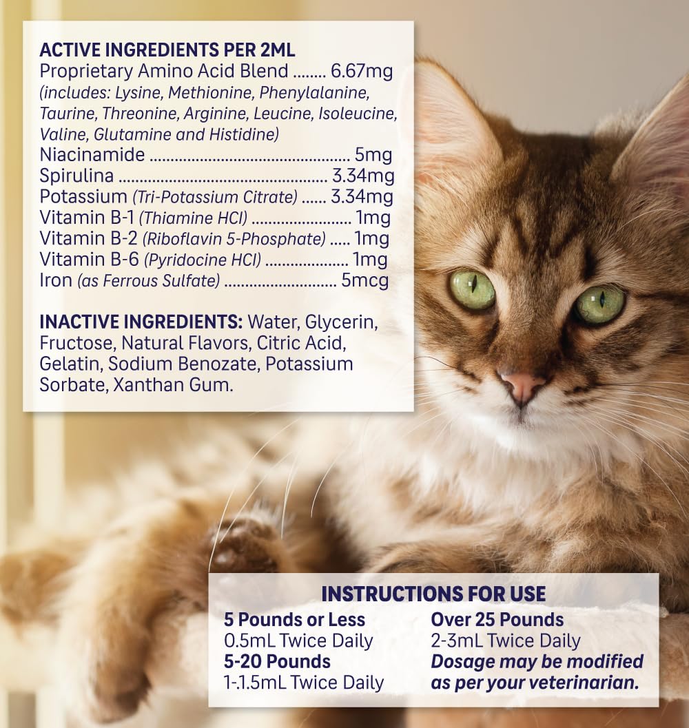 Liquid Pet Supplement with Vitamin B Complex & Iron 4 fl oz L3225