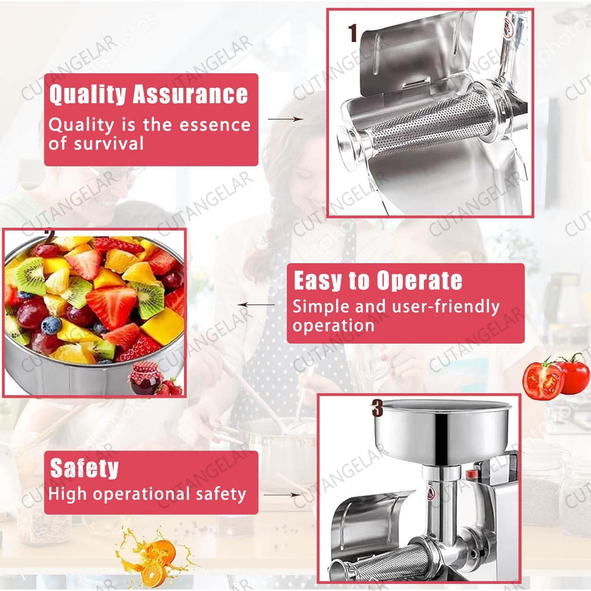 50W Electric Stainless Steel Tomato Strainer L7787
