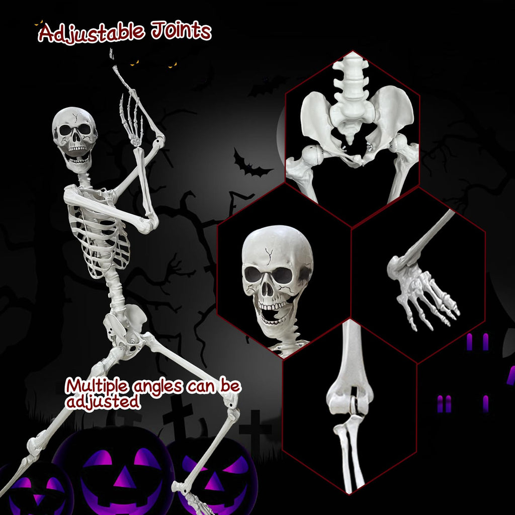 5.4Ft Poseable Life Size Human Skeleton with Rope W1429
