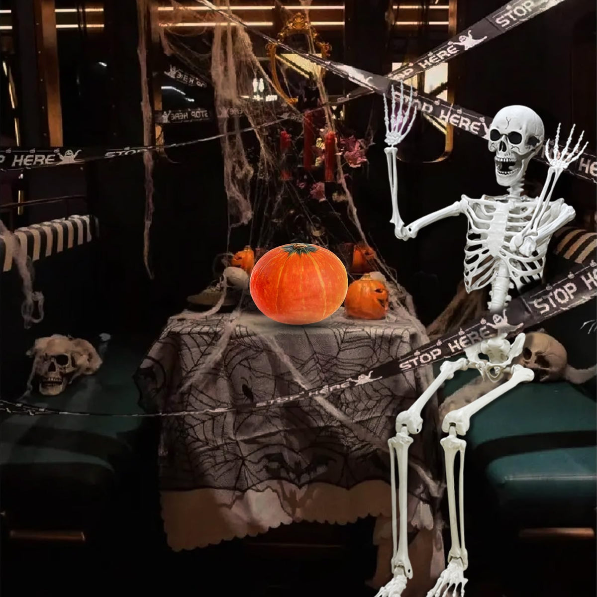 5.4Ft Poseable Life Size Human Skeleton with Rope W1429
