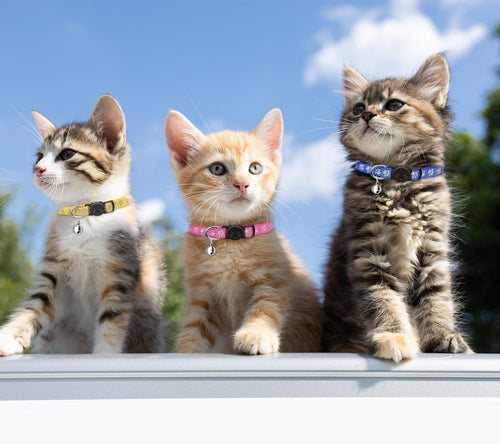 16 PCS Breakaway Reflective Nylon Cat Collars with Bells H8812