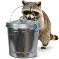 6 Gallon Galvanized Metal Trash Can with Lid J752412