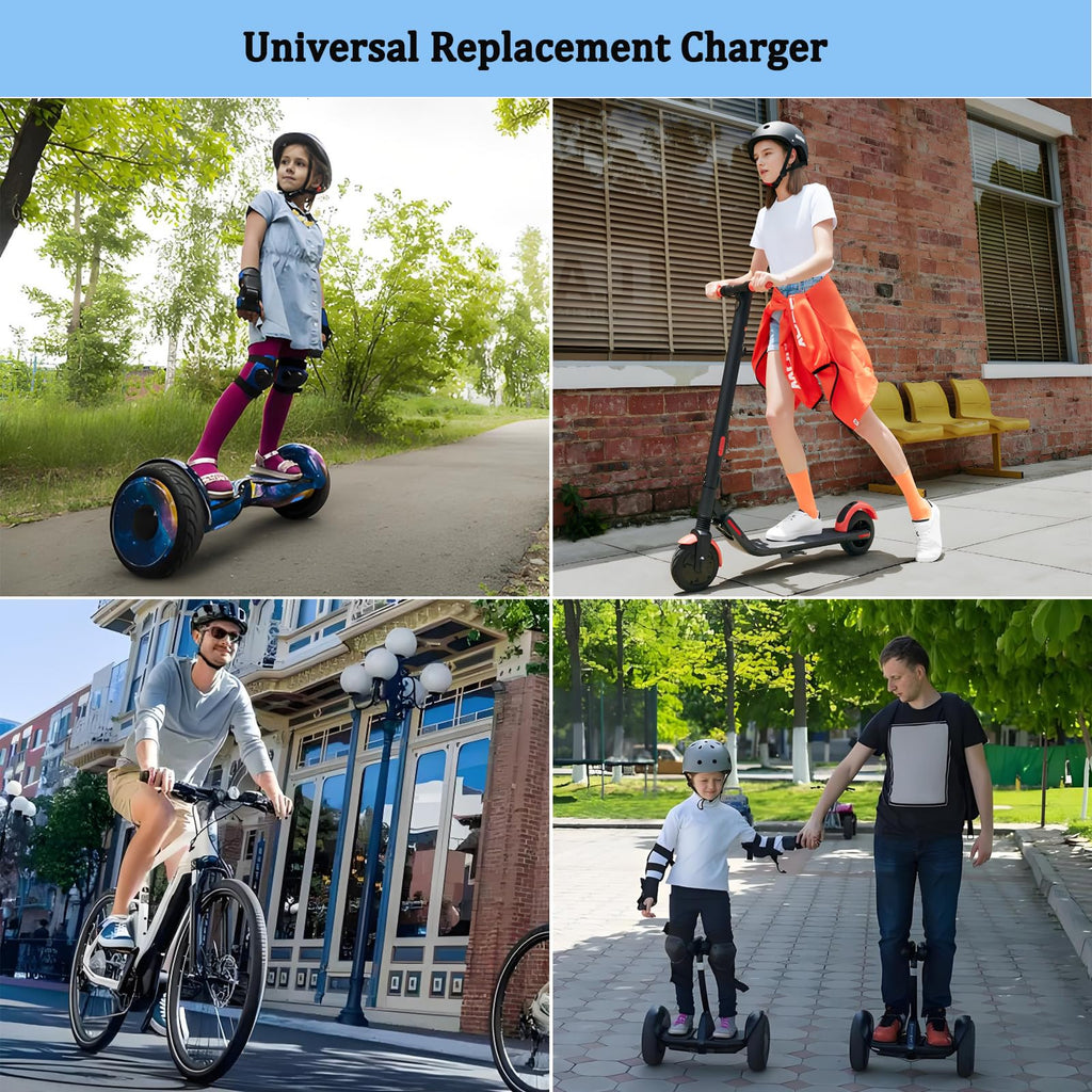 42V 2A Electric Scooter Charger with 4 Plugs B52034