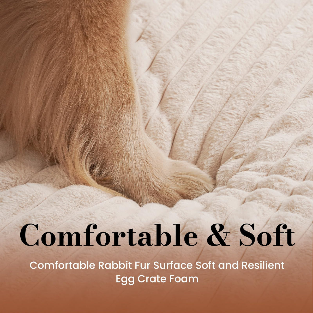 Orthopedic Foam Dog Bed with Waterproof Lining X623