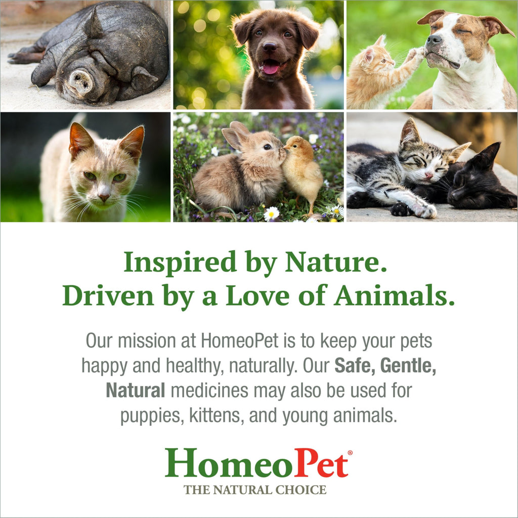 Feline Hairball Supplement 15 Milliliters H49311