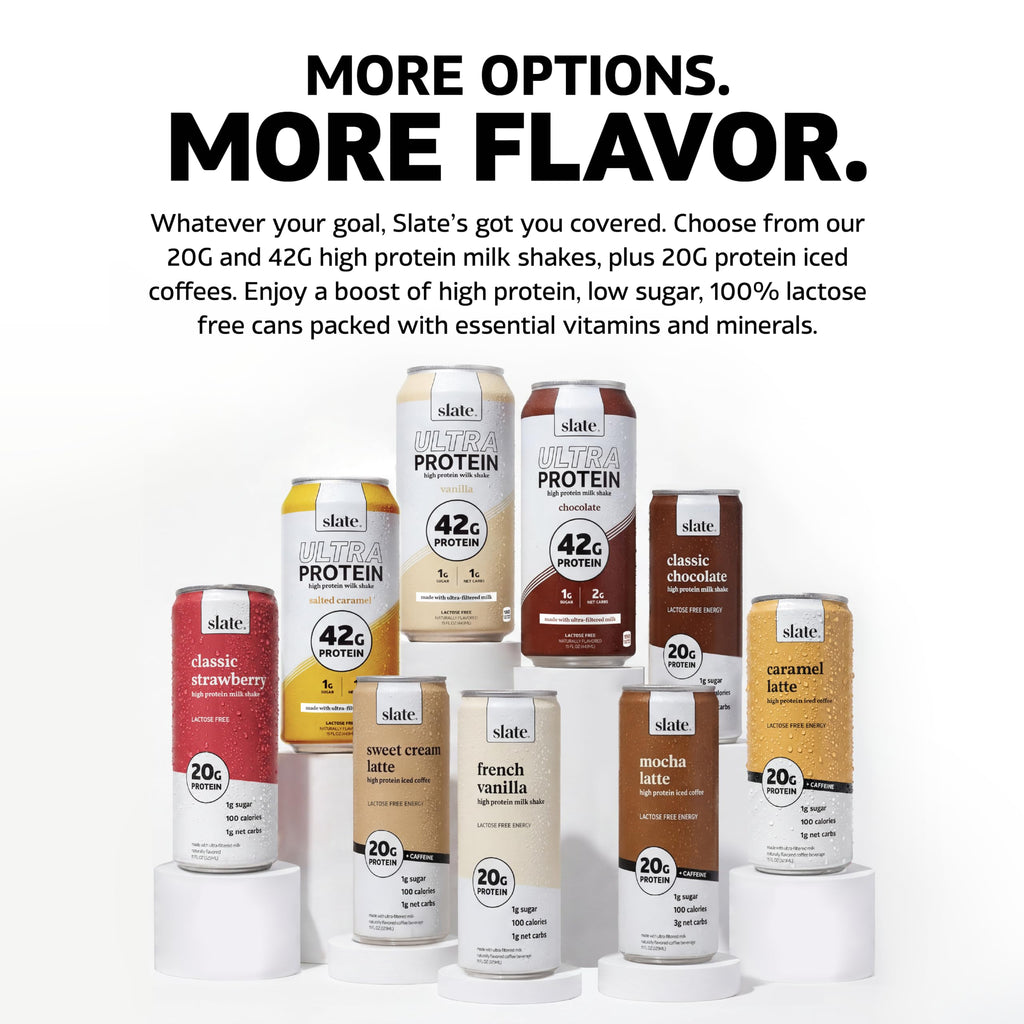 High Protein Milk Shake Classic Chocolate 12 Cans 11 fl oz H5000