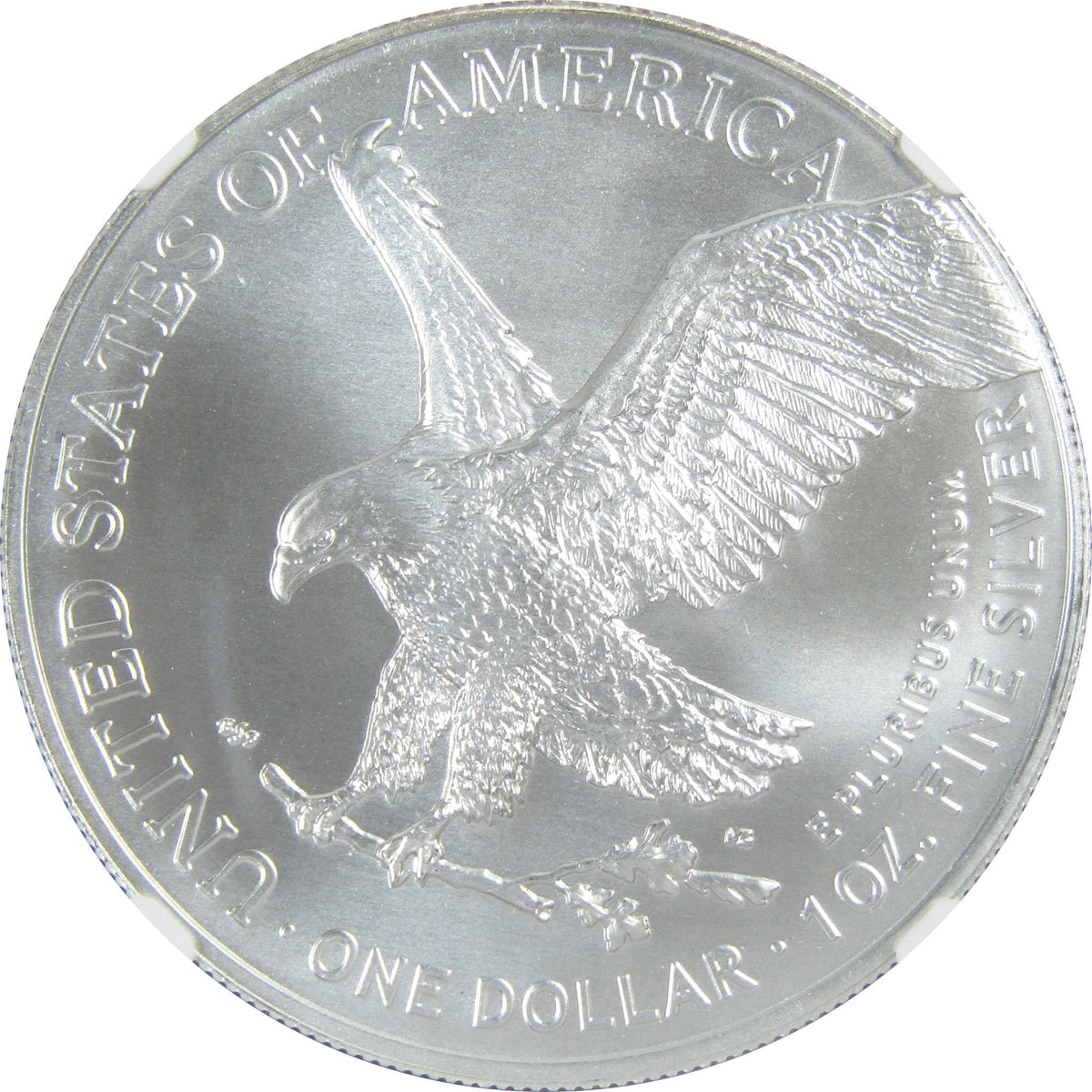 2023 American Silver Eagle Uncirculated $1 Coin X46259
