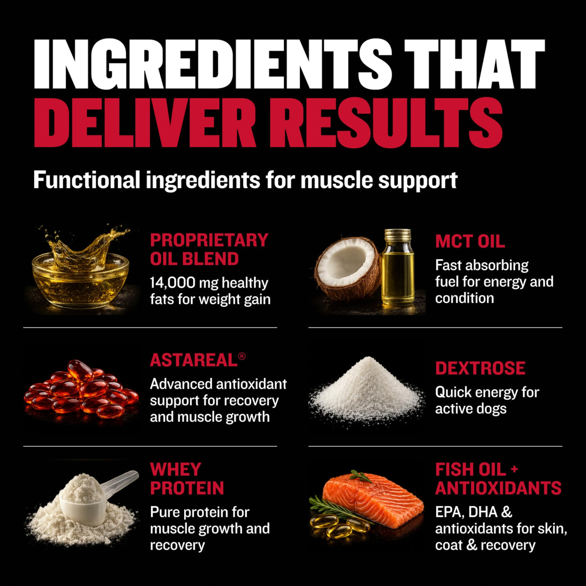 Liquid Dog Muscle Builder Supplement 16 oz I9163