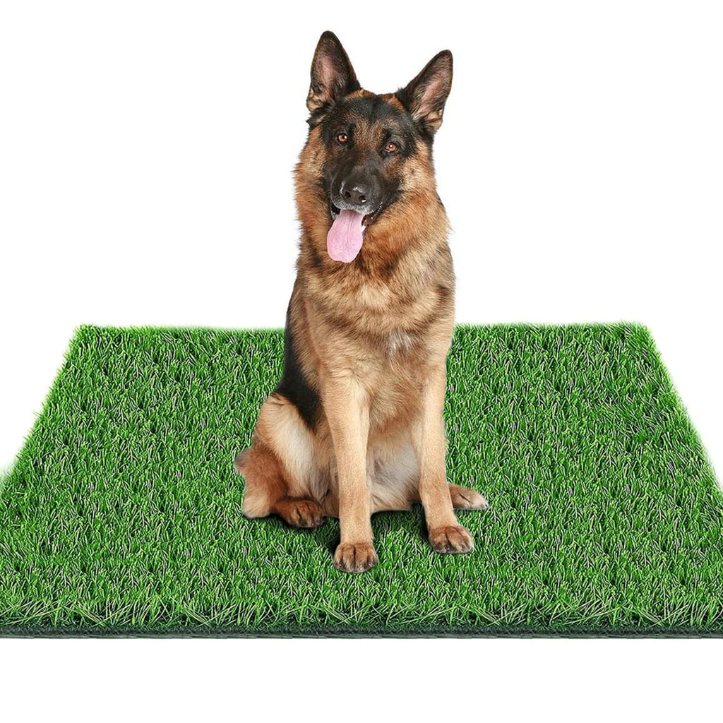 39.3 in X 31.5 in Reusable Artificial Grass Pad for Dogs U423