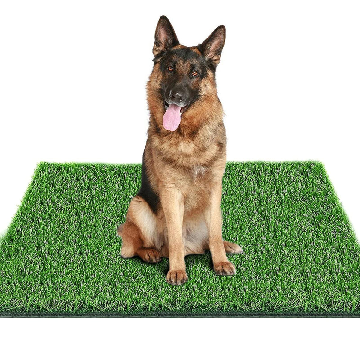 39.3 in X 31.5 in Reusable Artificial Grass Pad for Dogs U423