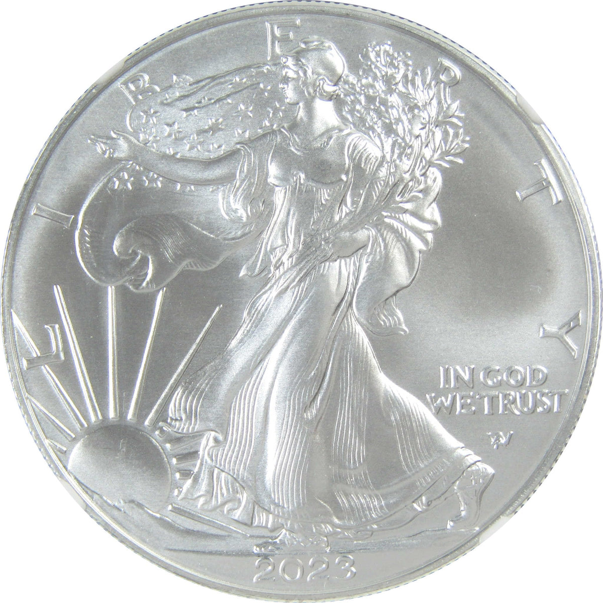 2023 American Silver Eagle Uncirculated $1 Coin X46259