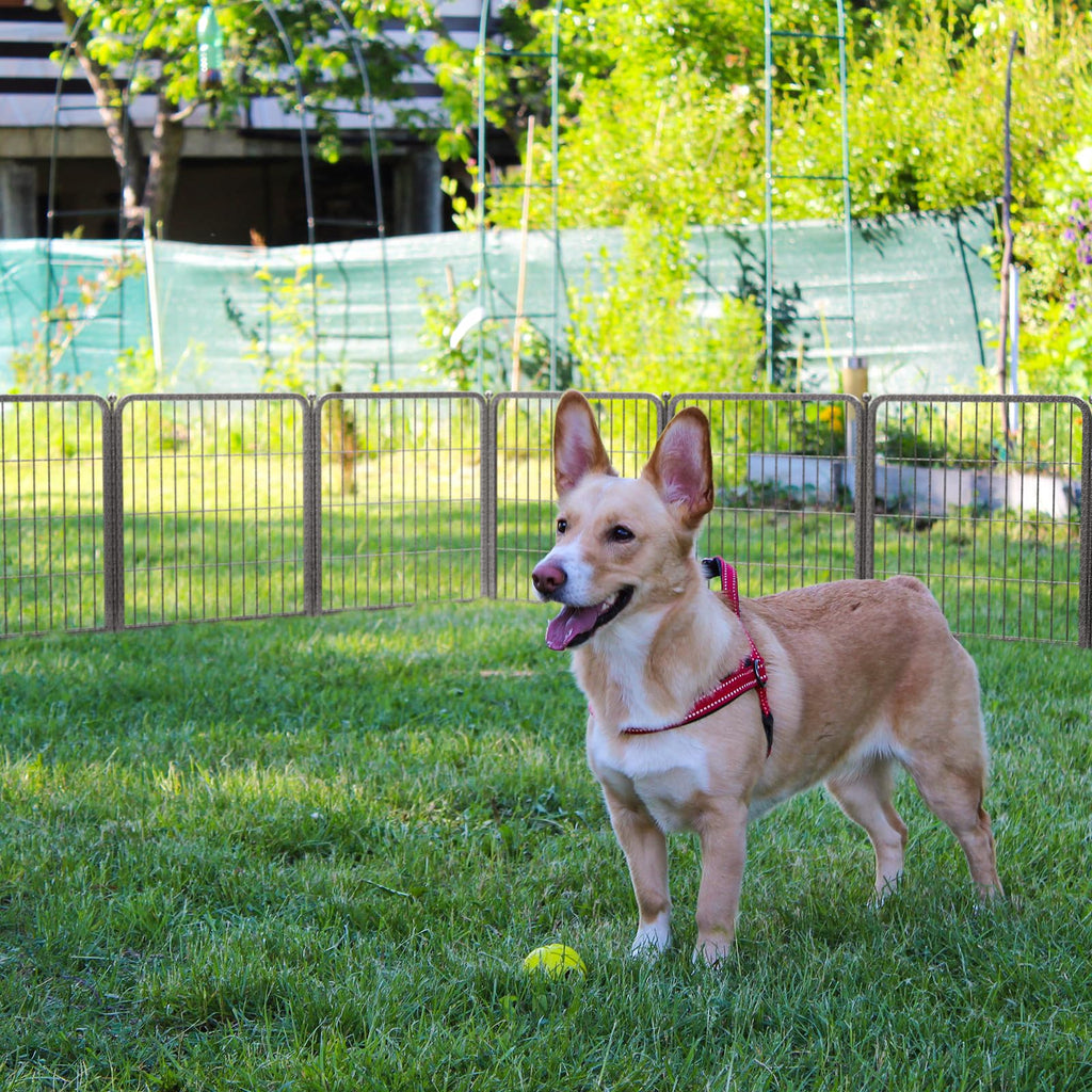24" H 16 Panels Dog Playpen M800602
