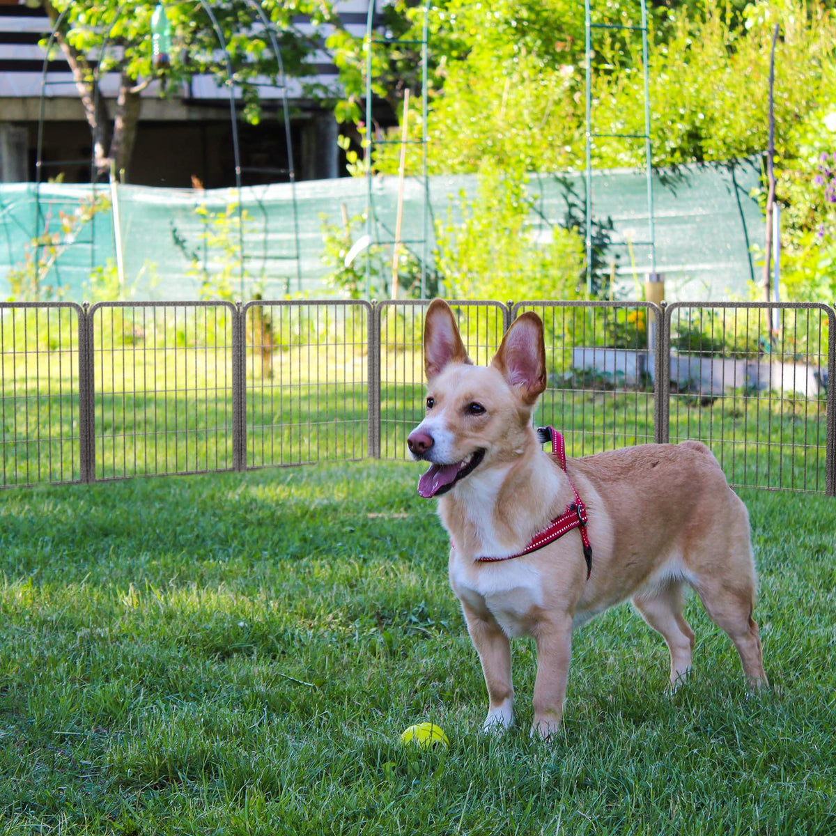 24" H 16 Panels Dog Playpen M800602