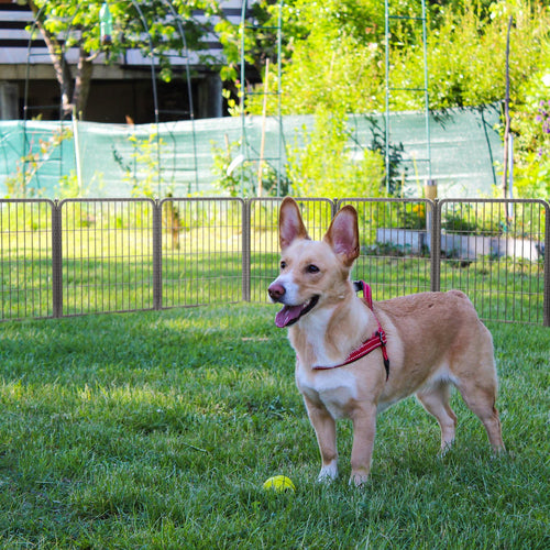 24" H 16 Panels Dog Playpen M800602