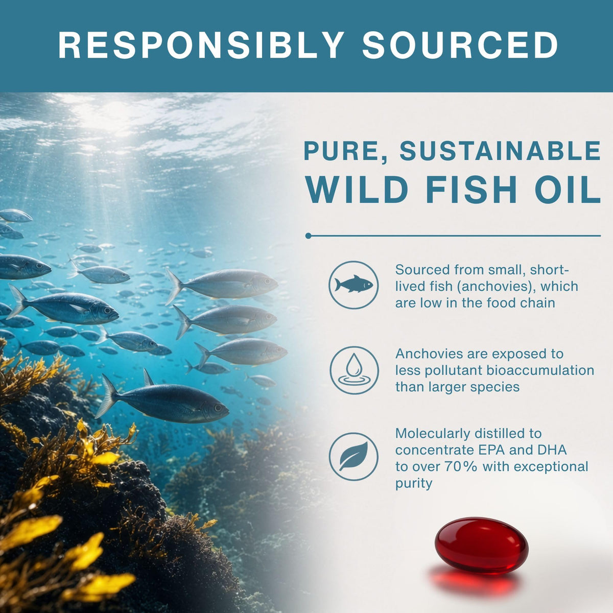 Wild Fish Oil 1360mg J729