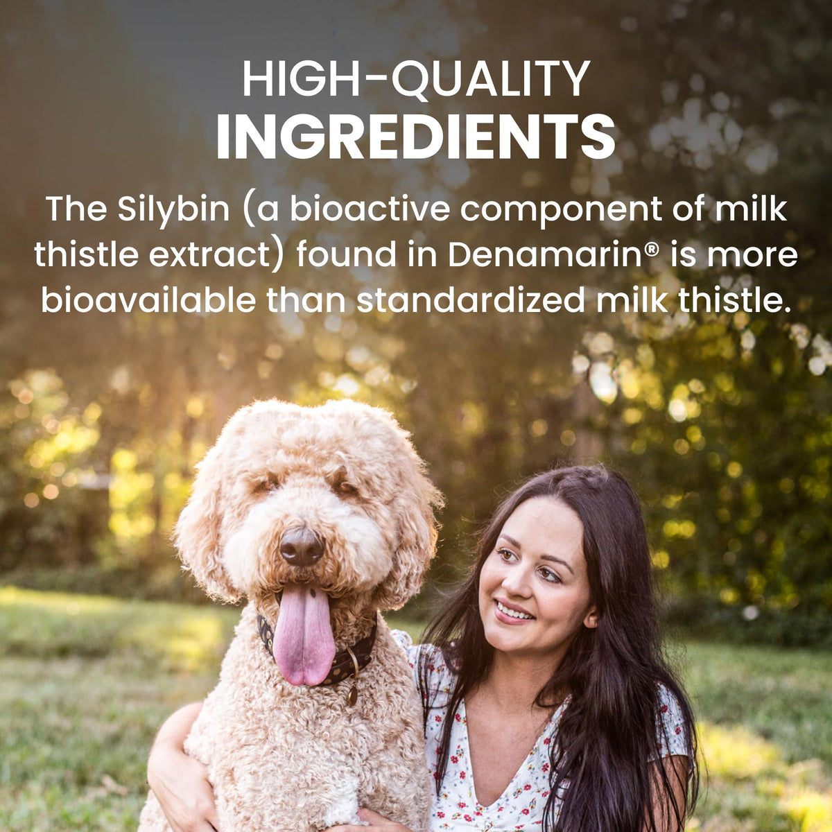 Large Dog Liver Health Supplement Coated Tablets 30 Count Pack of 2 J83765