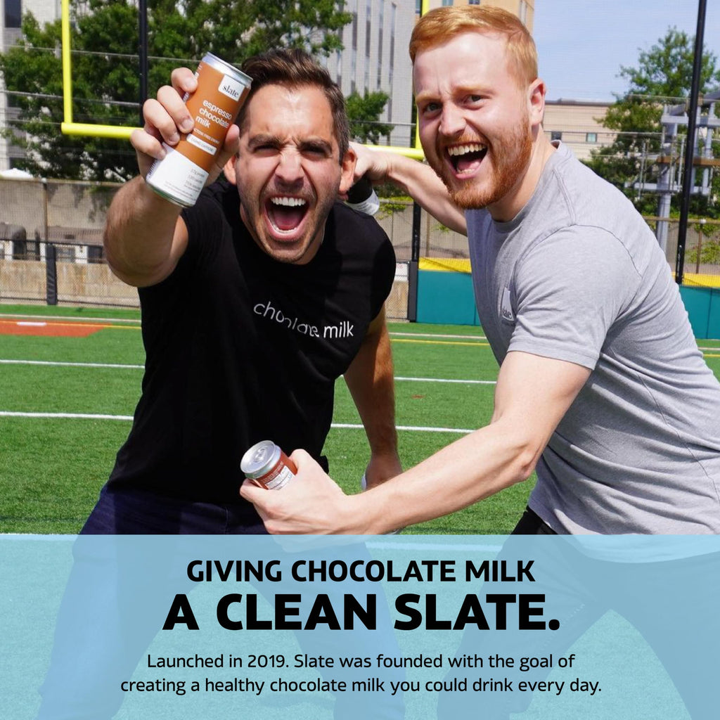 High Protein Milk Shake Classic Chocolate 12 Cans 11 fl oz H5000
