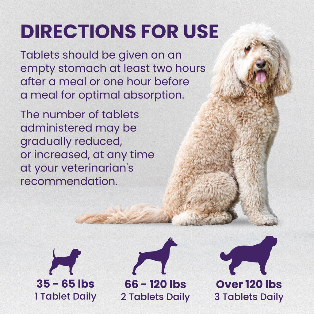Large Dog Liver Health Supplement Coated Tablets 30 Count Pack of 2 J83765
